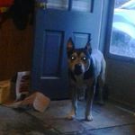 Nate Hamlin - @nhamlin7288 - Instagram