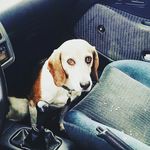 Nate Hamm - @hammsteh - Instagram