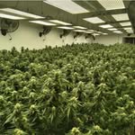 nate-hammer420 - @nate_hammer420 - Instagram