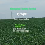 nate hampton - @nhampton06 - Instagram