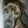 Nate_Hands912 - @we.love.boodies69 - TikTok