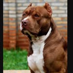 Nate - @nate_handsome - Instagram