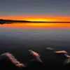 Nate_harding09 - @nate_harding09 - TikTok