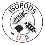 Nate Harding - @isopodsusa - Instagram