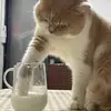 natehareeyalachan - @natehareeyalachan - TikTok