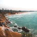 Nate Harrison - @natethebarista - Instagram