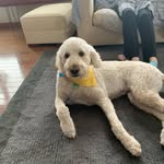 Nate Hauser - @nate_hauser - Instagram
