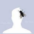 Nate Hauser - Facebook