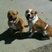 Nate Janssen - Facebook