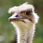 Nate Jefferson - @nate_the_jeff - Instagram