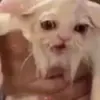 Nate! - @nate.jefferson - TikTok