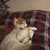 Nathan Jorgensen - Facebook