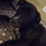 Nate Klinger - @nate.dagreat48 - Instagram