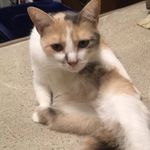 Nate Kramer - @nkramer0011 - Instagram