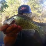 Nate Lambert - @theozarkadventurer - Instagram