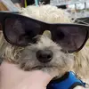 natelambert - @natelambert81 - TikTok