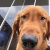 Nàte - @lanceenate - TikTok