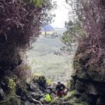 Nate Lehman - @nathanlehman96 - Instagram