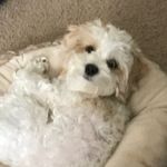 Nate Lehmann - @lehmann.nate - Instagram