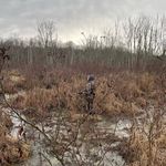 Nate - @natelehman_ - Instagram