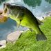Nate Lehner - Facebook