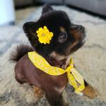 Nate Leon - @nate_leon28 - Instagram