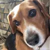 nate_levine - @nate_levine - TikTok