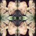 Nate List - Facebook