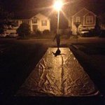 Nate Long - @ntg20 - Instagram