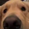 Nate Lund - @nate.lund9 - TikTok