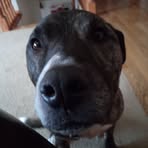 Nate Lund - Facebook