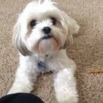 @nate_lundy - Instagram