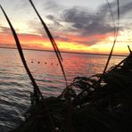 Nate Lynn - Facebook
