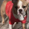 natemaas856 - @natemaas856 - TikTok