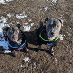 Nate MacDonald - @nate.macdonald.50 - Instagram