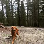 Nate Manning - @manning_woodworks - Instagram