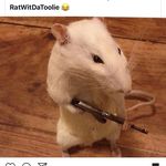 Nate Mcneil - @natenotdrippy_ - Instagram