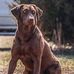 Nate Miller - Facebook
