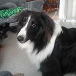 Nate Moses - @users_aseembled_724 - Instagram