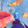 Nate Natale - @natenatale4 - TikTok