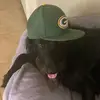 Nathan Newell - @nate_445 - TikTok