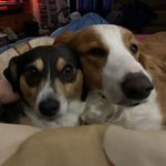 Nate Norris - @nan349 - Instagram