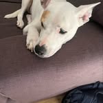 Nate Owens - @nate_owens12 - Instagram