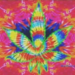 Nathaniel Pedigo - @nathanielpedigo - Instagram