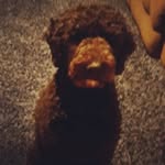Nate Pointer - @nate_pointer - Instagram
