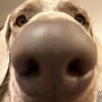 Nate Rojas - Facebook