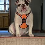 Nate Ryan - Facebook