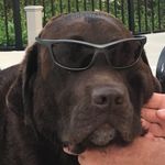 Nate Schwartz - @duke_luna_nate - Instagram