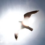 Photos Taken By Nate Schwartz - @schwartzvisuals - Instagram