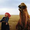 natesell008 - @natesell008 - TikTok